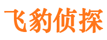 洪湖寻人公司